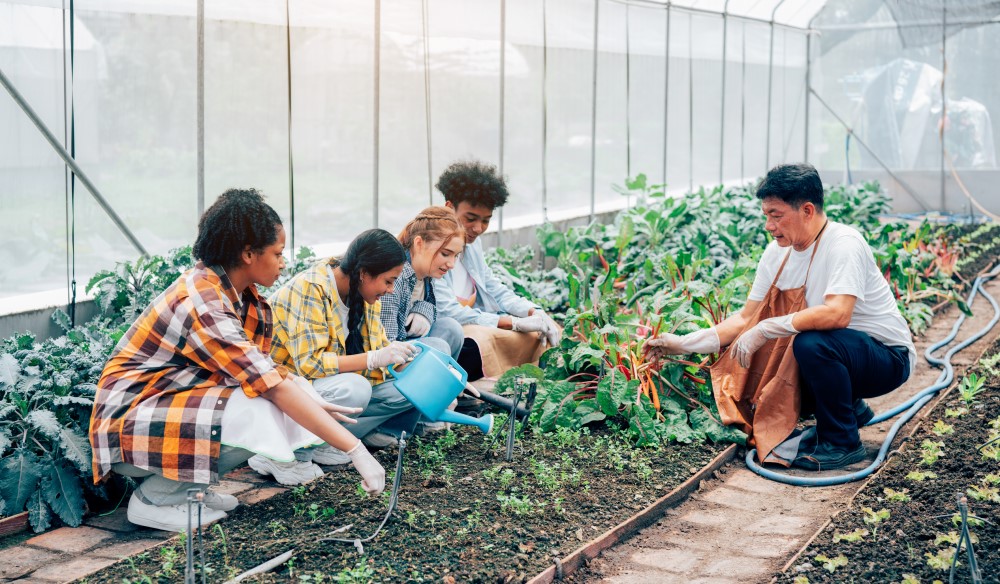 Teenagers in garden