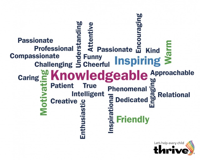 Top words used to describe Thrive trainers