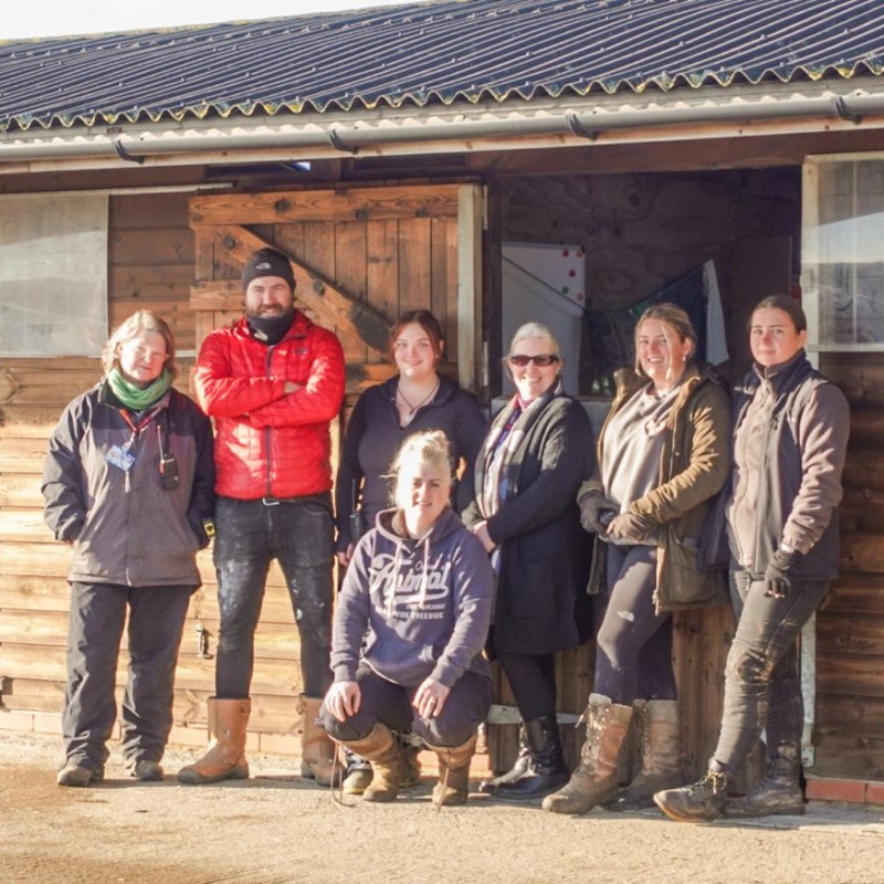 Excellence in reparative work for Kent-based tutoring service