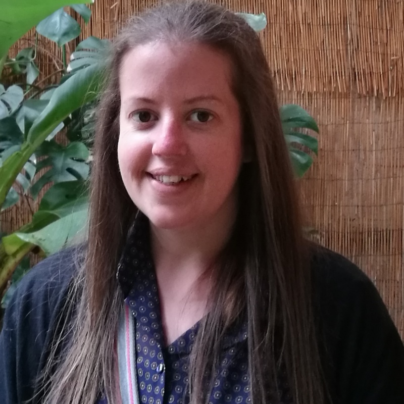 Improved attendance and outcomes at Lapwing Education