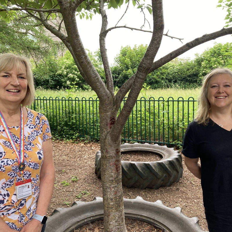 The Thrive Ambassador School Scheme recognises Somerset primary pledge