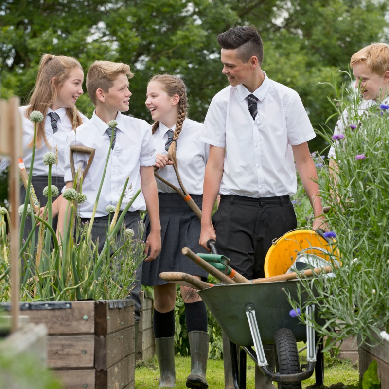 Why whole school wellbeing insight is hard to get, and why it matters more than ever