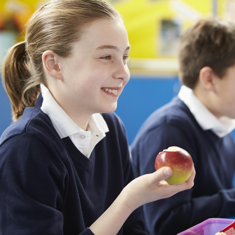 What is driving pupil absence in our schools? New research on school attendance